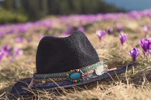 proche en haut tricoter feutre chapeau sur de bonne heure fleurs herbe Prairie concept photo