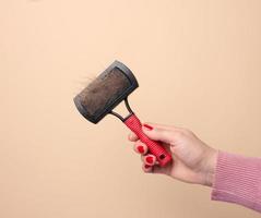 une femme main détient une brosse pour ratissage animal cheveux sur une beige Contexte photo