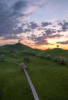 colline paysage dans Suisse pendant coucher de soleil, sur chaque colline là est une arbre photo