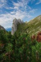 spectaculaire Montagne formations de Suisse photo