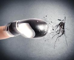 les moustiques attaque avec boxe gant photo
