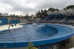 Madrid, Espagne - avril 1 2019 - le dauphin spectacle à aquarium zoo photo