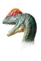 le tête de dilophosaure , dinosaure sur isolé Contexte . photo