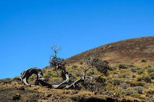 paysage de montagne pittoresque photo