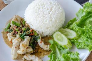 plat de calamars avec riz photo