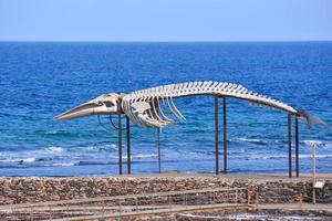 baleine squelette sculpture - Espagne 2022 photo