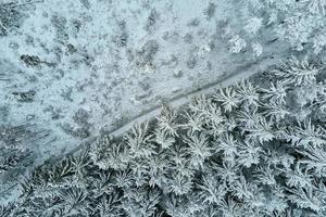 belle forêt d'hiver avec des arbres enneigés, vue aérienne photo