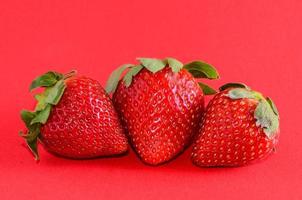 fraises sur fond rouge photo