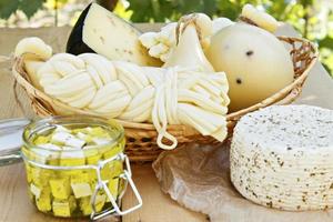 Différents types de fromages sur un fond en bois dans le contexte du feuillage vert photo