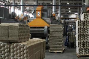 entrepôt de stockage avec marchandises emballées sur palette en bois à l'usine de papier recyclé. préparation expédition des produits. installation de logistique, de transport et de distribution pour la livraison. fret de la chaîne d'approvisionnement photo