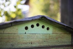 maison pour les abeilles dans jardin. en bois maison avec des trous. photo