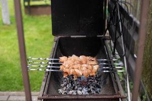 Viande sur brochettes est frit sur le gril photo