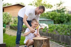 papa enseigne le sien fils à marteau ongles dans une arbre photo