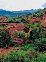 embrasse le Naturel beauté de labour sur acres de les terres agricoles, une périple par le cœur de rural sérénité et tradition photo