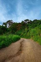 route à kanglok para dans sajek, bangladesh photo