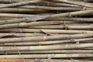 empiler de séché bambou tiges - cette image vitrines une pile de séché bambou tiges cette avoir photo