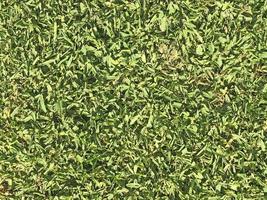 patch de pelouse ou d'herbe pour le fond ou la texture