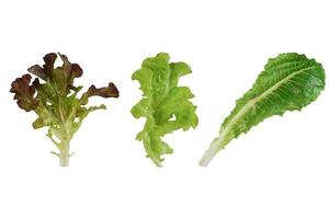 ensemble de feuillu des légumes isolé sur blanc Contexte avec coupure chemin. photo