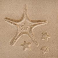 impression d'étoiles de mer dans le sable. le concept de loisirs et de détente d'été. photo