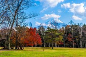 paysage au mt. Fuji, Yamanashi, Japon photo