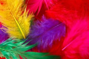 brillant multicolore plumes Contexte photo