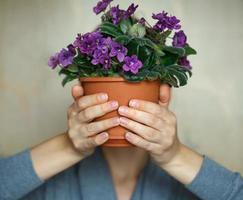 femme en portant une pot de violet photo