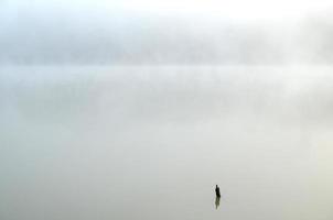brouillard réservoir dans le Matin une blanc brouillard tourbillonné autour photo