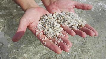 dans le mains de petit des pierres composé de céréales de quartz. la vie cycle - vacances. photo