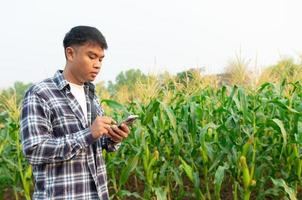 proche en haut agriculteur mains dans blé champ avec tablette dans le sien mains et examiner culture. photo