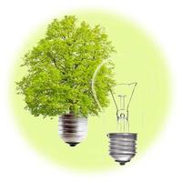 concept d'énergie verte photo