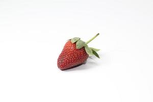 seule fraise sur fond blanc photo