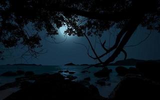 magnifique calme nuit à plage avec des arbres, clair de lune et rochers photo