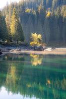 Jaune des arbres reflétant dans une brumeux Lac photo