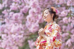 Japonais femme dans traditionnel kimono robe est fabrication une Nouveau année souhait pour bien fortune tandis que en marchant dans le parc à Cerise fleur arbre pendant printemps Sakura Festival avec copie espace photo