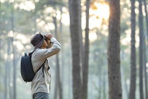 oiseau observateur est à la recherche par jumelles tandis que explorant dans le pin forêt pour arpentage et découvrir le rare biologique la diversité et écologiste sur le champ étude concept photo