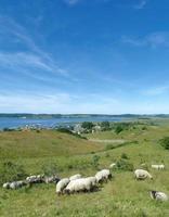 village de gager dans moenchgut la nature réserve,,ruegen,baltique Mer,mecklembourg-poméranie occidentale,Allemagne photo