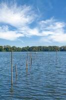 poisson pièges à Lac mueritz dans mueritz nationale parc,mecklembourg Lac district ,Allemagne photo