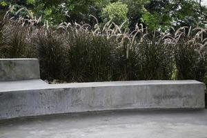 banc en béton avec de l'herbe haute photo