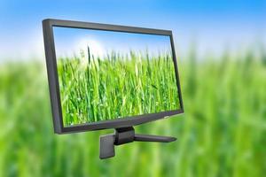 PC moniteur et herbe photo