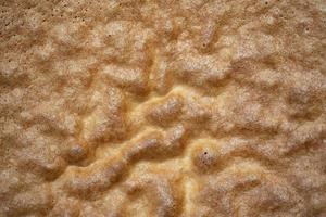 texture de cuit biscuit fermer. le surface de le cuit pâte. photo