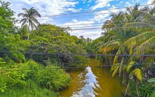 belle lagune d'eau douce de rivière tropicale verte à puerto escondido mexique. photo