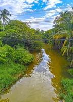 belle lagune d'eau douce de rivière tropicale verte à puerto escondido mexique. photo