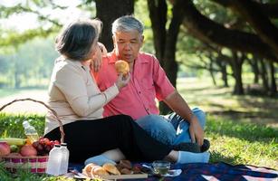 heureux vieux couples de personnes âgées se détendant et s'asseyant sur une couverture dans le parc et partageant quelques souvenirs précieux. couple de personnes âgées s'amusant ensemble lors d'un pique-nique. concept de relations matures photo