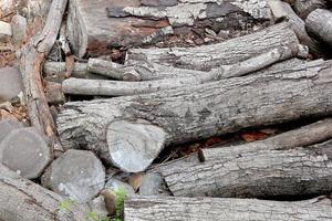 le tas de désordre vieux bois avec sec feuilles et herbe photo