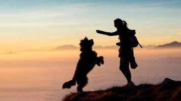 fille donne de la nourriture à son chien dans les montagnes