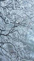 le magnifique congelé montagnes vue couvert par le blanc neige et la glace dans hiver photo