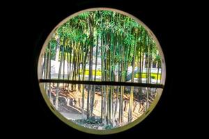 à l'extérieur cercle fenêtre vue de moderne maison avec bambou forêt et Naturel Soleil lumières et environnement Contexte. photo