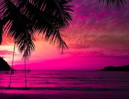 palmier au coucher du soleil d'une belle plage tropicale sur fond de ciel rose en été photo
