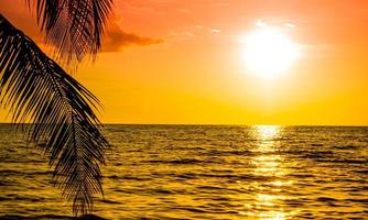silhouette de palmier sur la plage pendant le coucher du soleil d'une belle plage tropicale sur fond de ciel orange photo