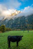 une noir vache s'accroupit sur une pâturage entouré par montagnes en dessous de une nuageux ciel photo